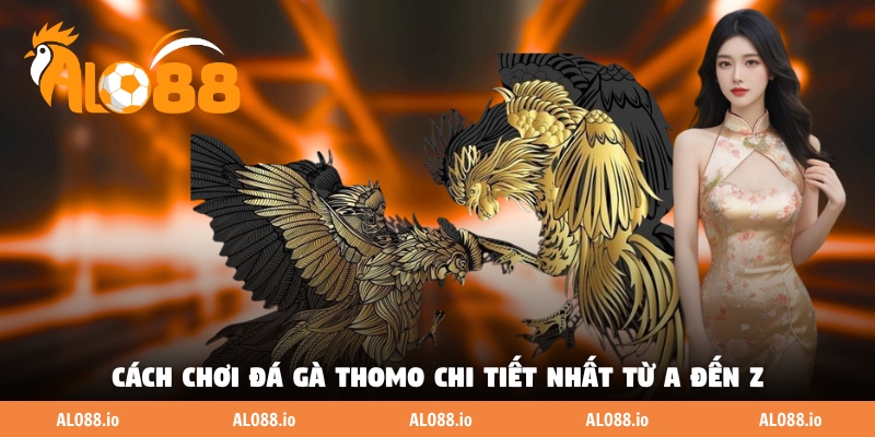 Cách chơi đá gà Thomo chi tiết nhất từ A đến Z Cách chơi đá gà Thomo chi tiết nhất từ A đến Z