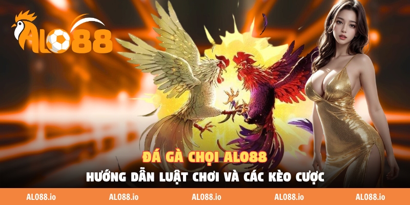 Đá Gà Chọi ALO88 - Hướng Dẫn Luật Chơi Và Các Kèo Cược