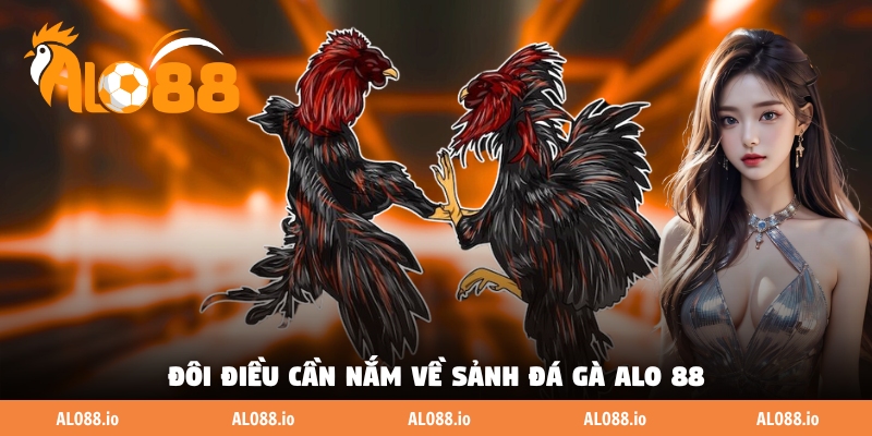 Đôi điều cần nắm về sảnh đá gà Alo 88 Đôi điều cần nắm về sảnh đá gà Alo 88