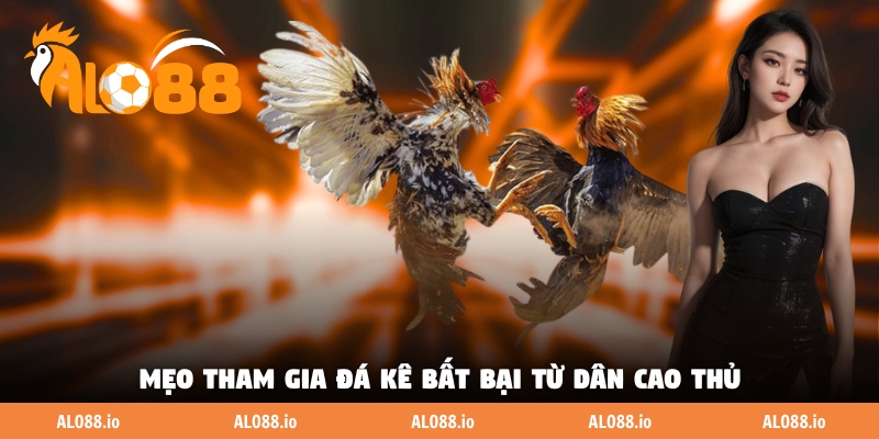 Mẹo tham gia đá kê bất bại từ dân cao thủ Mẹo tham gia đá kê bất bại từ dân cao thủ