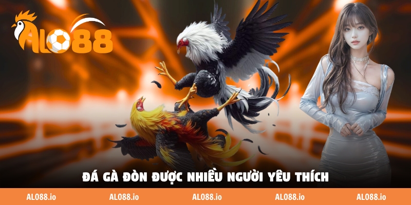Đá gà đòn được nhiều người yêu thích Đá gà đòn được nhiều người yêu thích