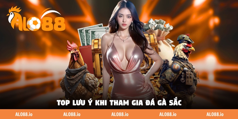 Top lưu ý khi tham gia đá gà sắc Top lưu ý khi tham gia đá gà sắc