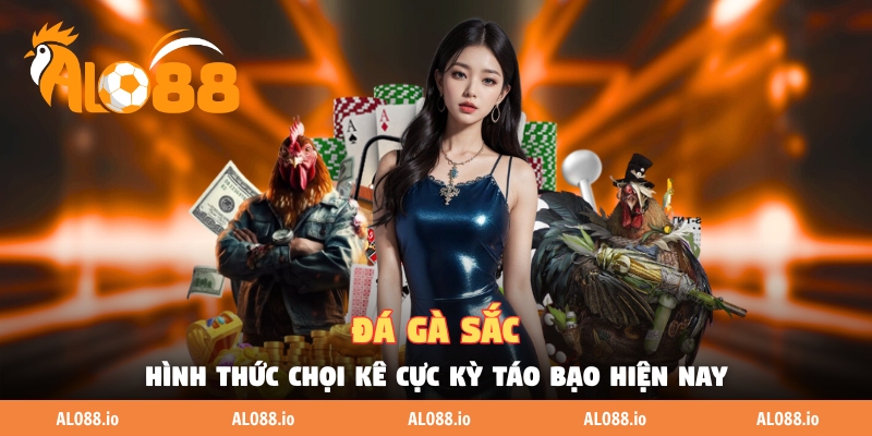 Đá Gà Sắc - Hình Thức Chọi Kê Cực Kỳ Táo Bạo Hiện Nay
