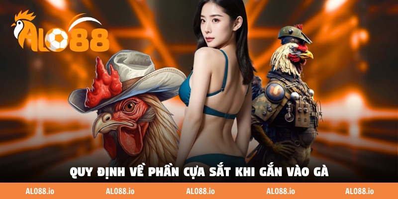 Quy định về phần cựa sắt khi gắn vào gà Quy định về phần cựa sắt khi gắn vào gà