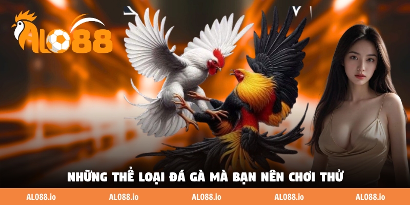 Những thể loại đá gà mà bạn nên chơi thử Những thể loại đá gà mà bạn nên chơi thử