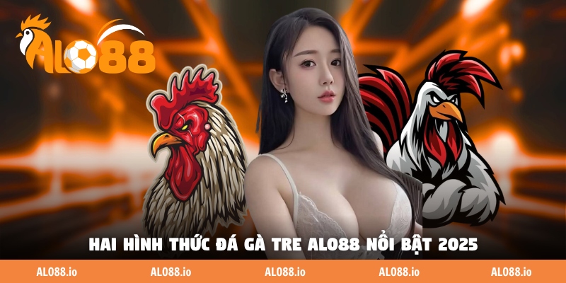 Hai hình thức đá gà tre ALO88 nổi bật 2025 Hai hình thức đá gà tre ALO88 nổi bật 2025