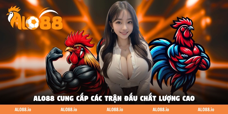 ALO88 cung cấp các trận đấu kê chất lượng cao ALO88 cung cấp các trận đấu kê chất lượng cao