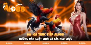 Đá Gà Trực Tiếp ALO88 - Hướng Dẫn Luật Chơi Và Các Kèo Cược