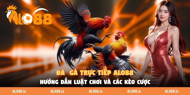 Đá Gà Trực Tiếp ALO88 - Hướng Dẫn Luật Chơi Và Các Kèo Cược