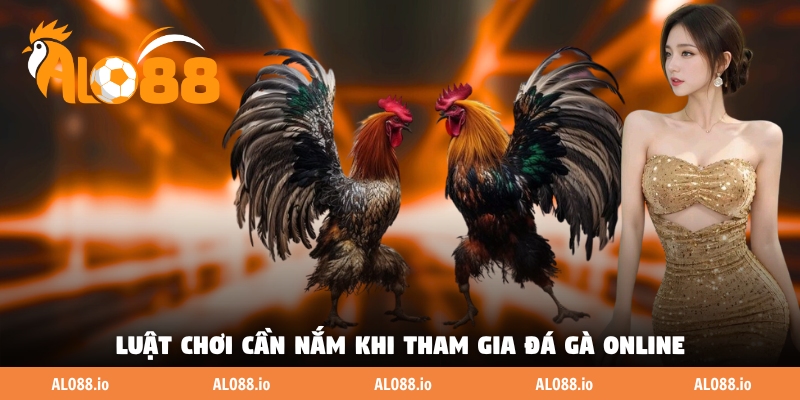 Luật chơi cần nắm khi tham gia đá gà online Luật chơi cần nắm khi tham gia đá gà online