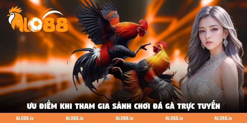 Ưu điểm khi tham gia sảnh chơi đá gà trực tuyến Ưu điểm khi tham gia sảnh chơi đá gà trực tuyến