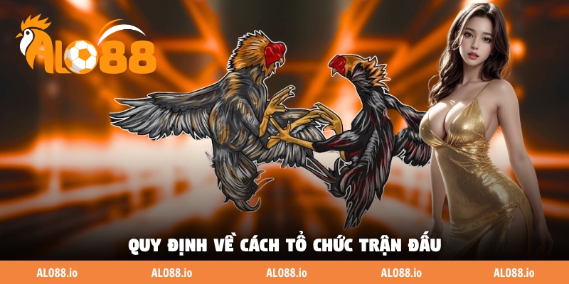 Quy định về cách tổ chức trận đấu Quy định về cách tổ chức trận đấu