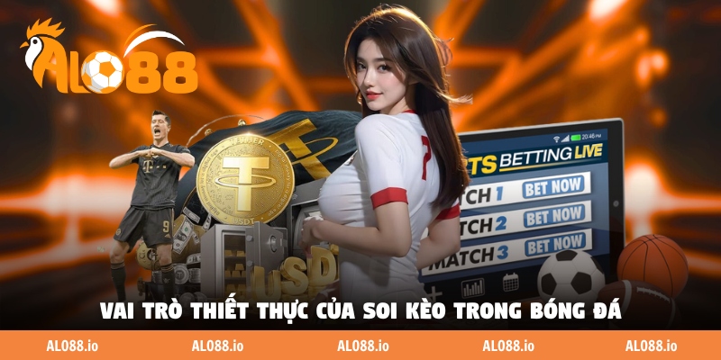 Vai trò thiết thực của soi kèo trong bóng đá Vai trò thiết thực của soi kèo trong bóng đá