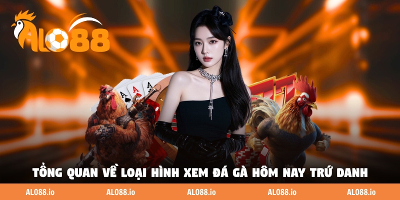 Tổng quan về loại hình xem đá gà hôm nay trứ danh Tổng quan về loại hình xem đá gà hôm nay trứ danh