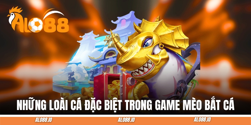 meo bat ca ca dac biet meo bat ca ca dac biet